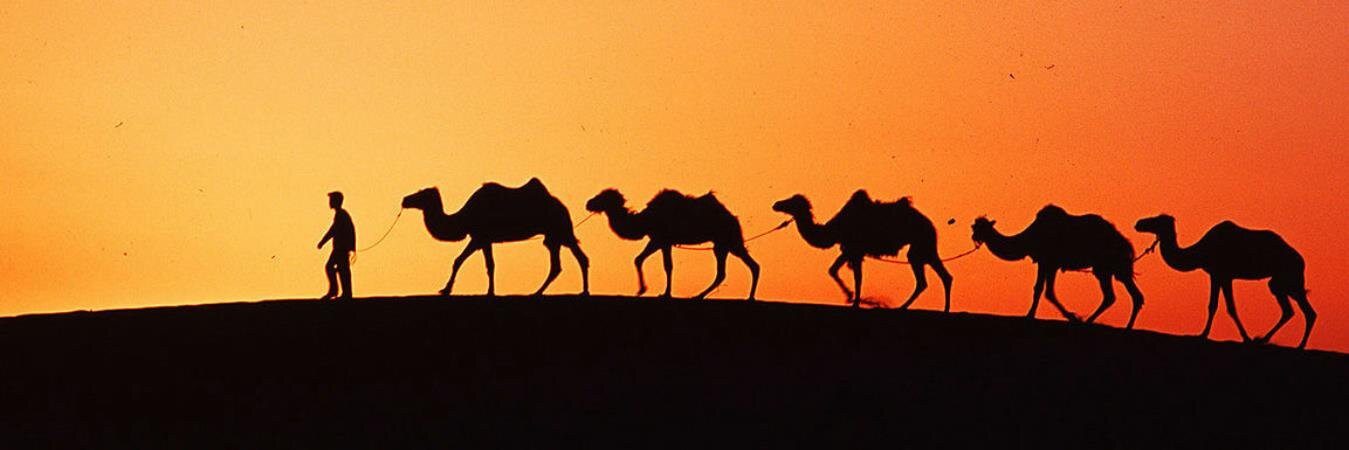 akkohaan's profile banner image
