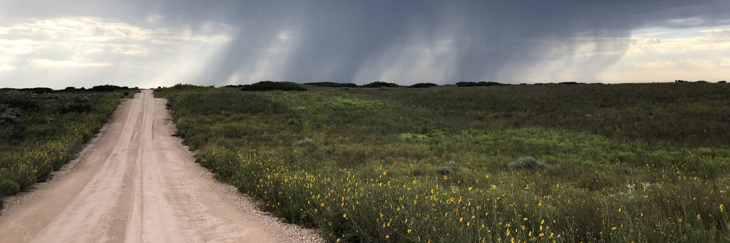 maxtmon's profile banner image