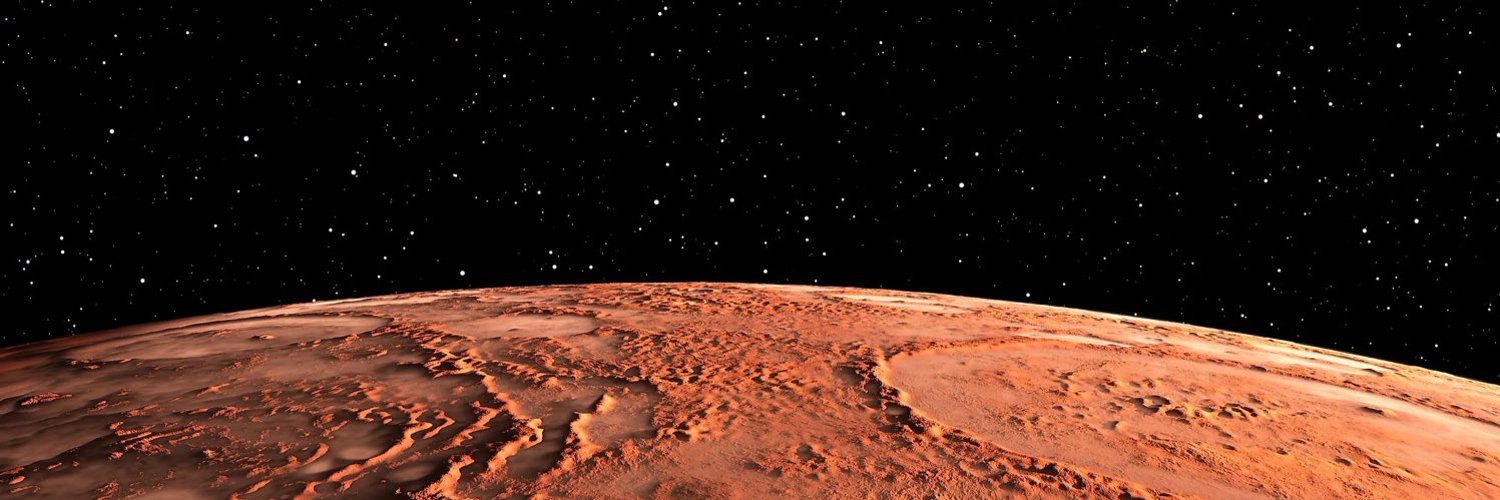 Zentrynell⚡️ banner