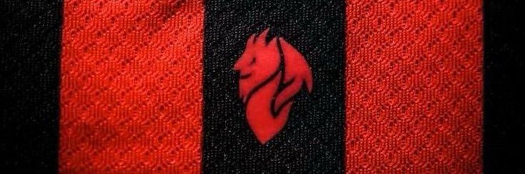 🇵🇸⚫️🔴 banner