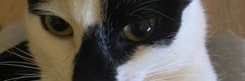 mariss_mariscada's banner