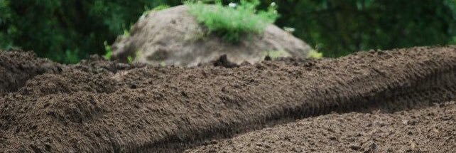 TheYetsman's profile banner image