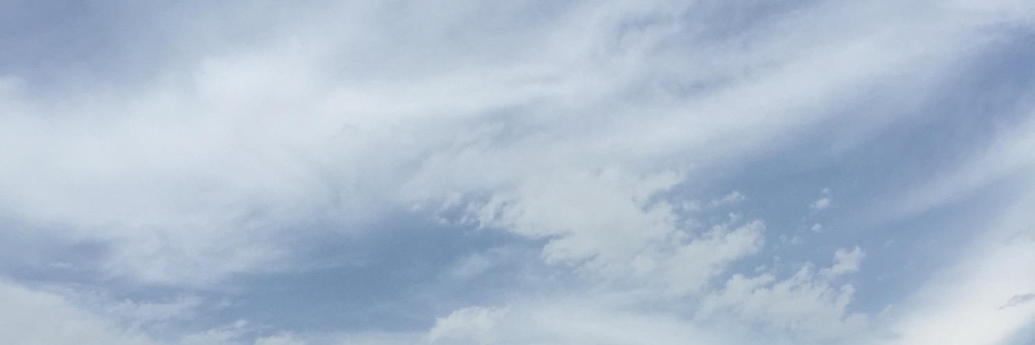 Emily Hafer banner