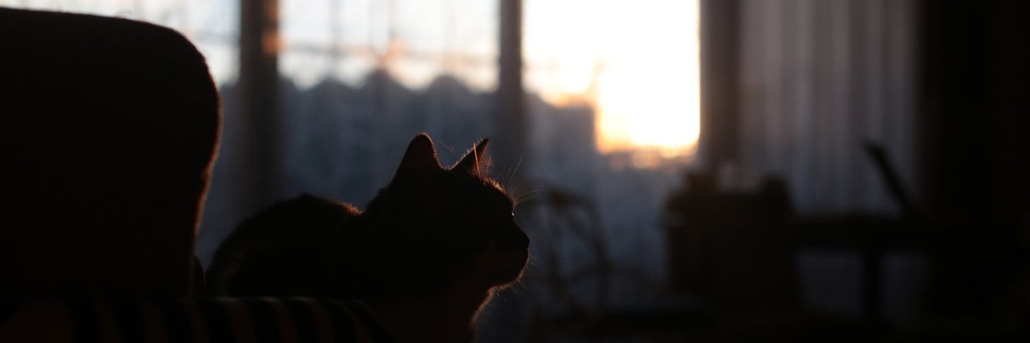 nnjyami's profile banner image