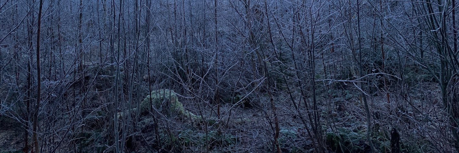 haltingstate's profile banner image