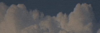 FernTheFlea1's profile banner image