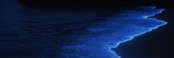 H1766sl Profile Banner