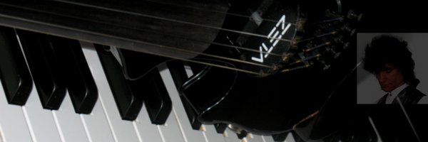darkviolin Profile Banner