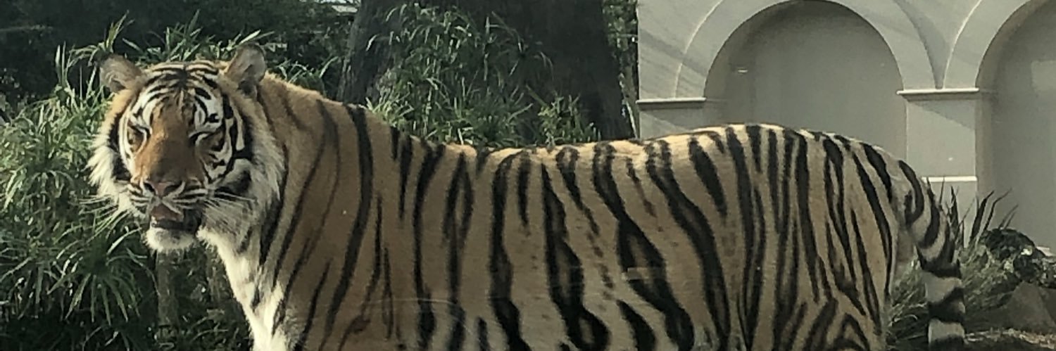 MaxRowland20's profile banner image