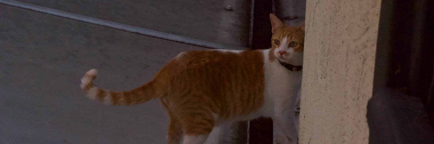 cristobalmejoy's profile banner image