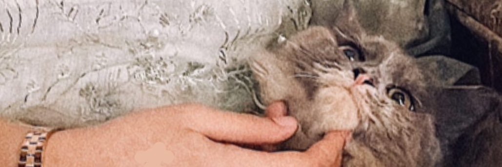 dinaimt's profile banner image
