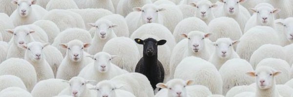 KaizenOnchain_ Profile Banner