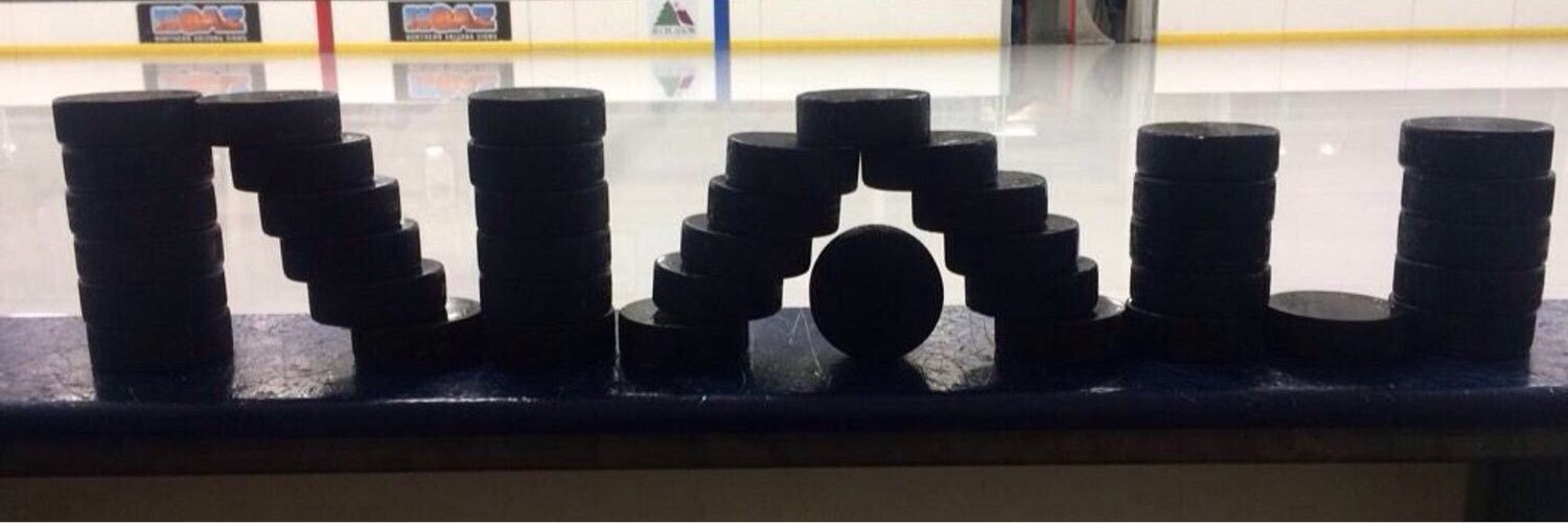 NAU Hockey D3 banner