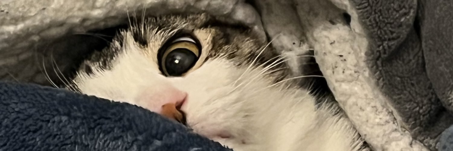 gofork0's profile banner image