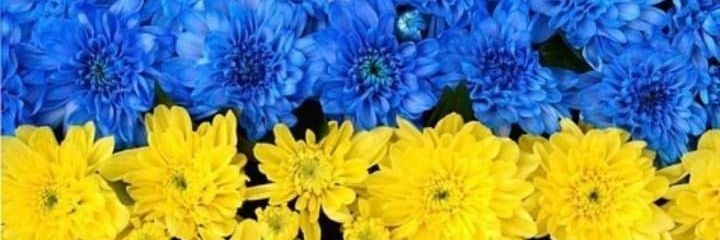 _bling_Hyun_'s profile banner image