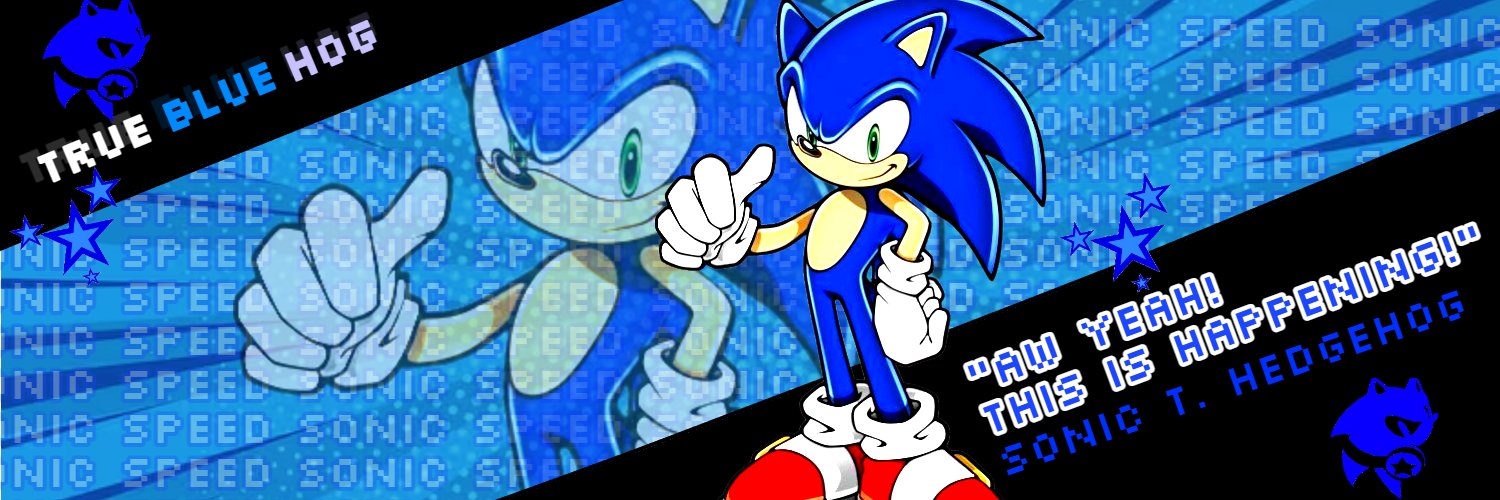 Sonic T. Hedgehog banner