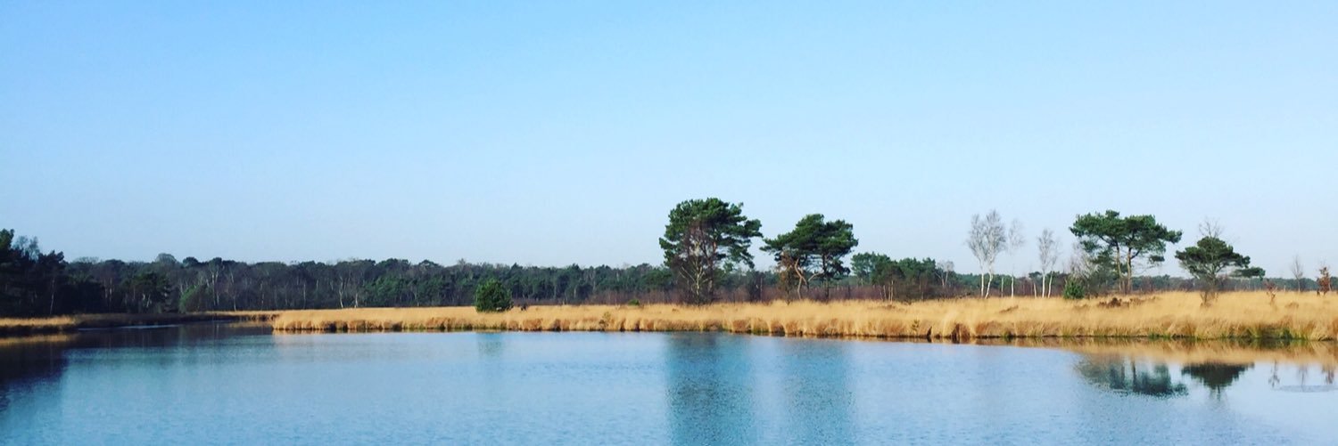 Marc Coudijzer banner