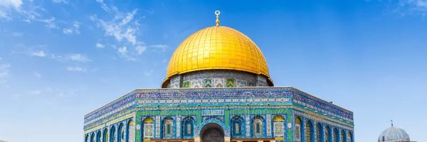 ShahinRahm75495 Profile Banner