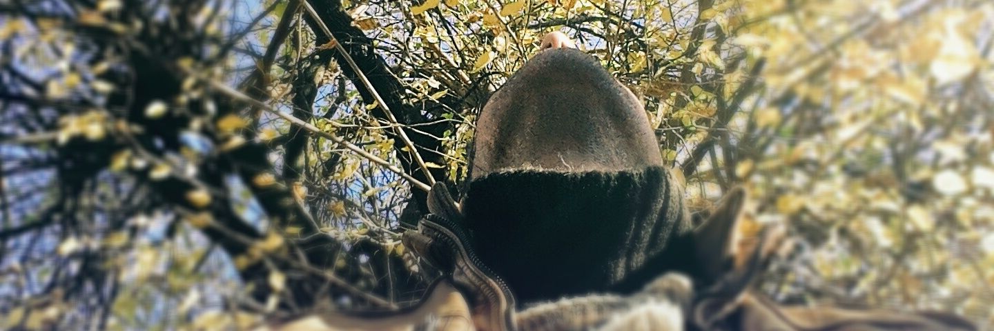 mcimeliler's profile banner image