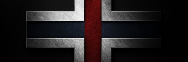 HeleneTveit1 Profile Banner