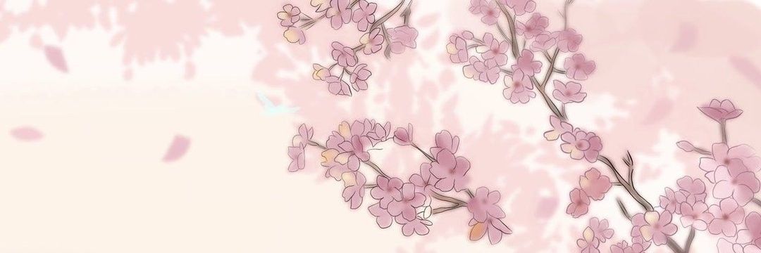 Nepphisto's profile banner image