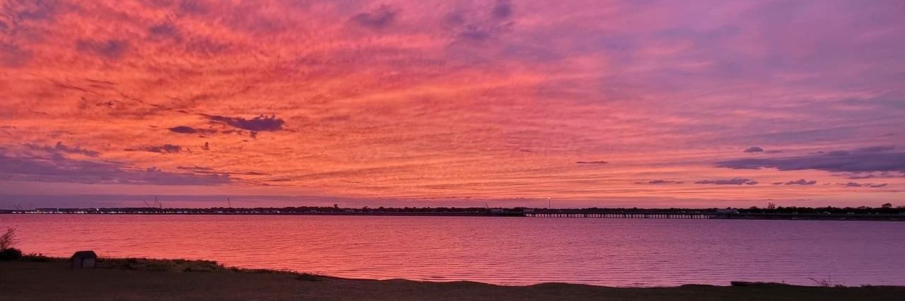 Anne in Texas banner