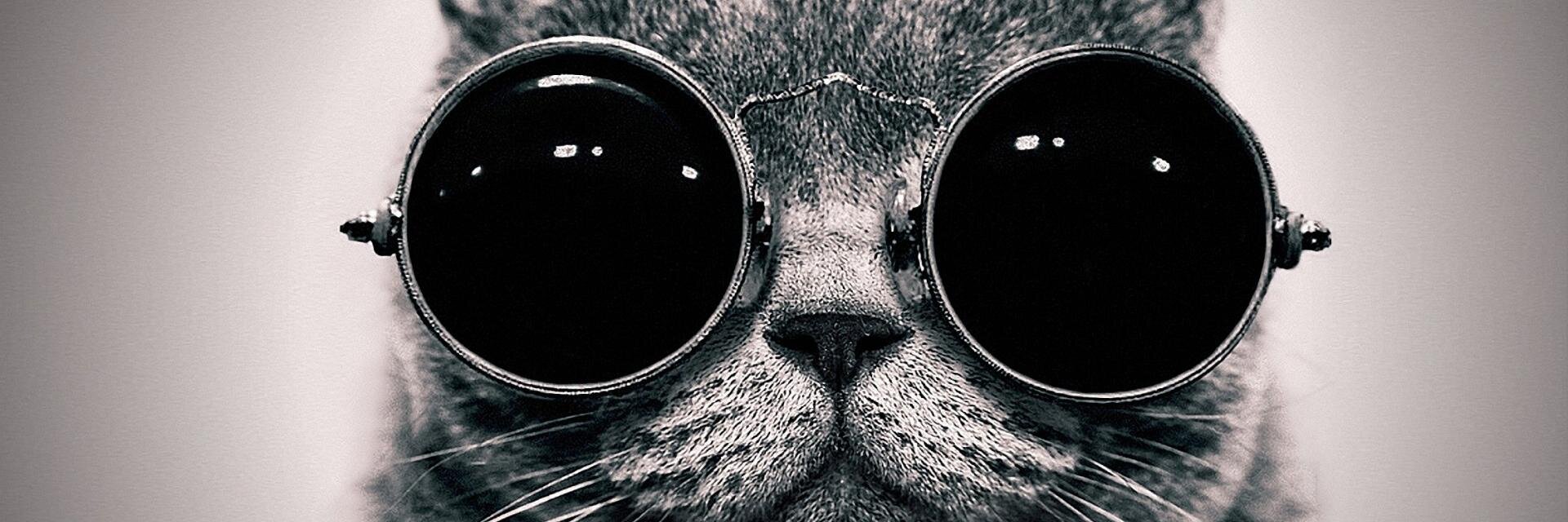 CoenWiers's profile banner image