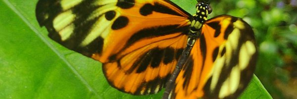 GoreloRuth98405 Profile Banner