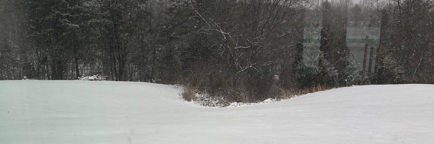 Regina haynes banner