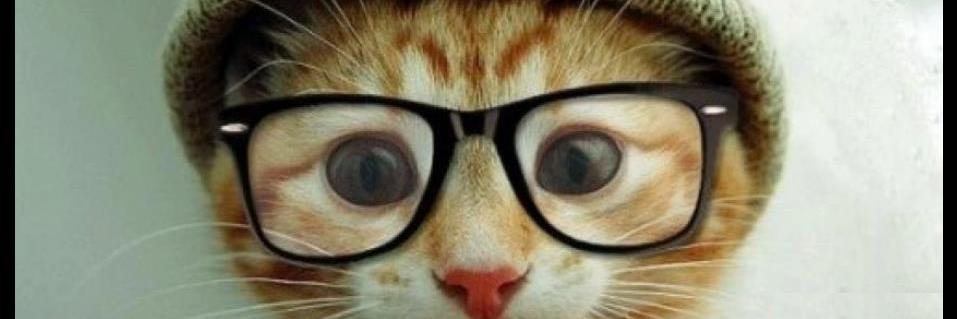 Yorge Milagros banner