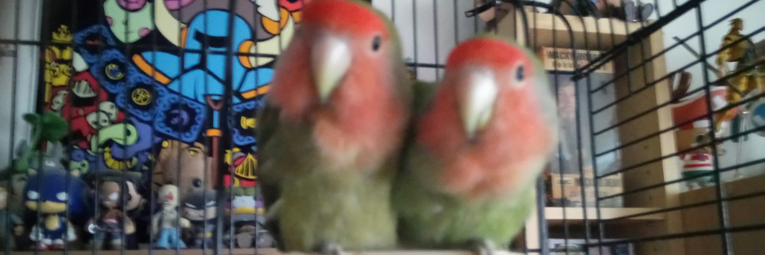 jenpeep's profile banner image