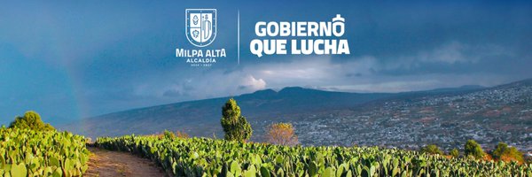 AlcMilpaAlta Profile Banner