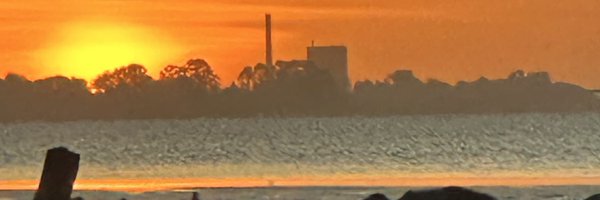 Trendtowar18751 Profile Banner