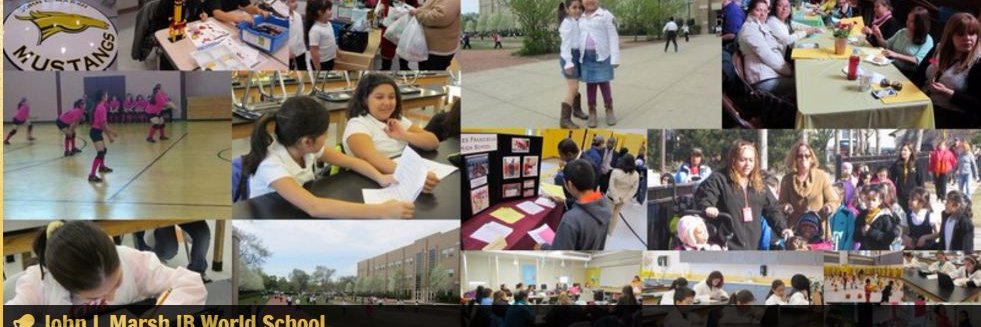 MarshSchool's profile banner image