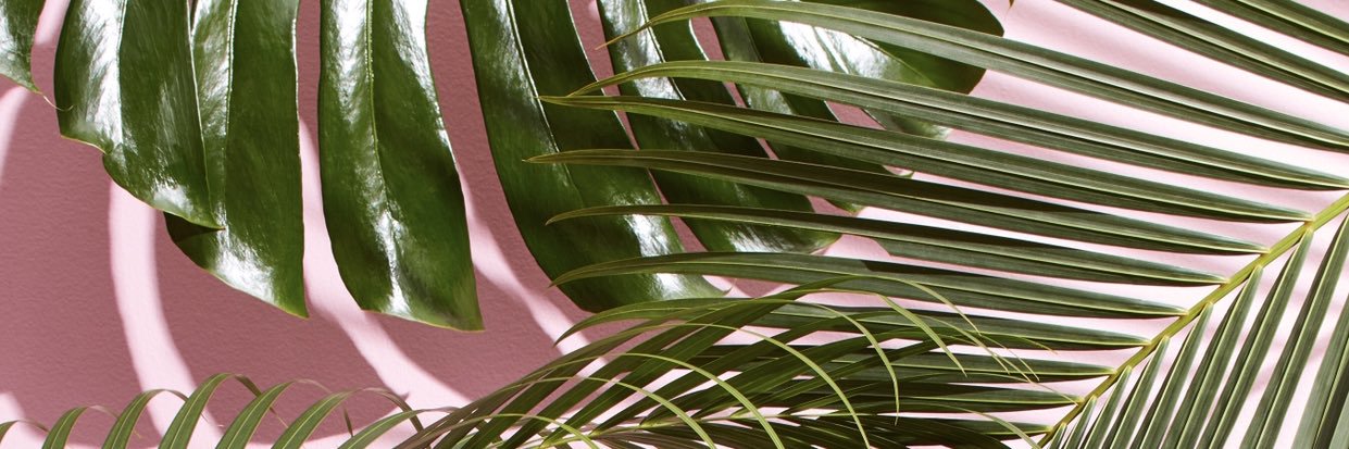 arianabusca's profile banner image