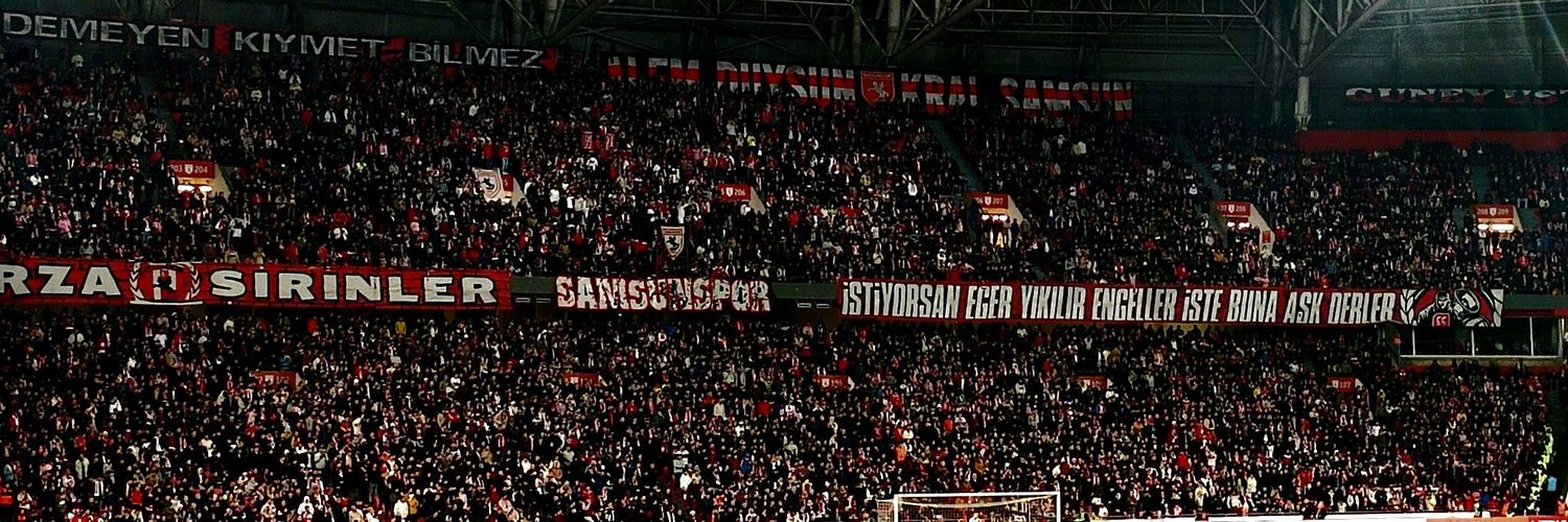 King in the North Robb banner