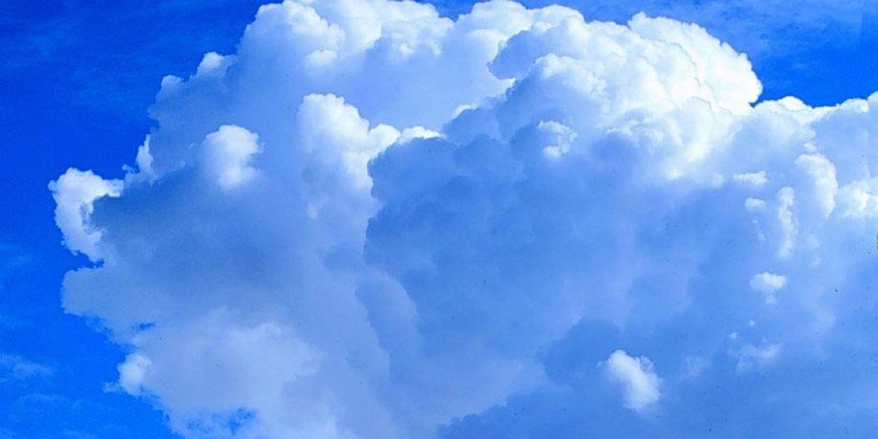 clorofilaa's profile banner image