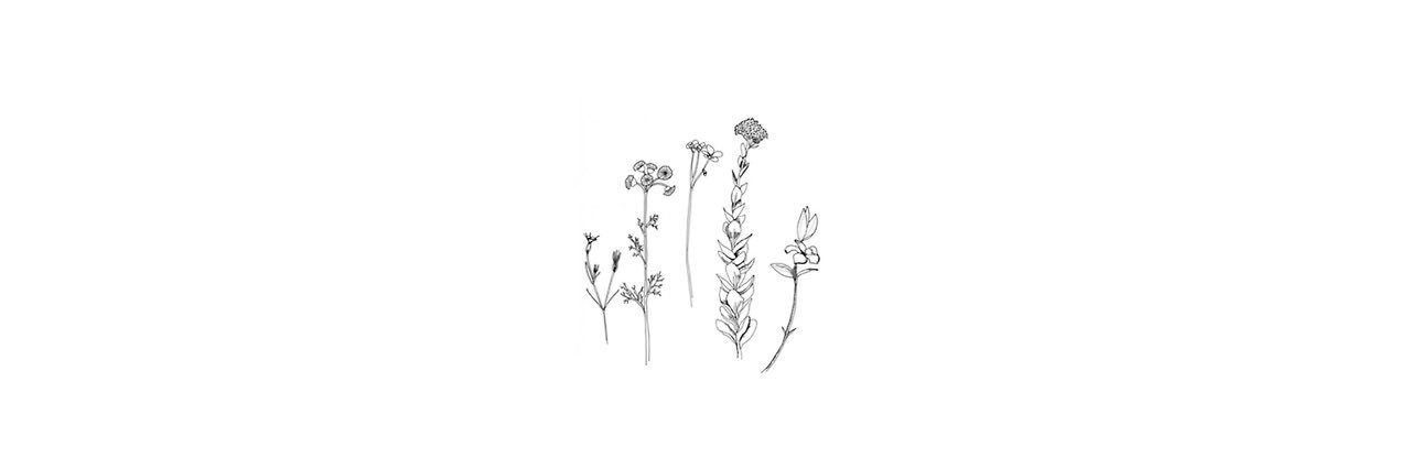 sav 🩺 pitt s2 spoilers banner