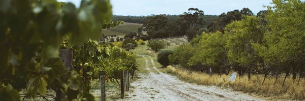 UlithorneWine Profile Banner