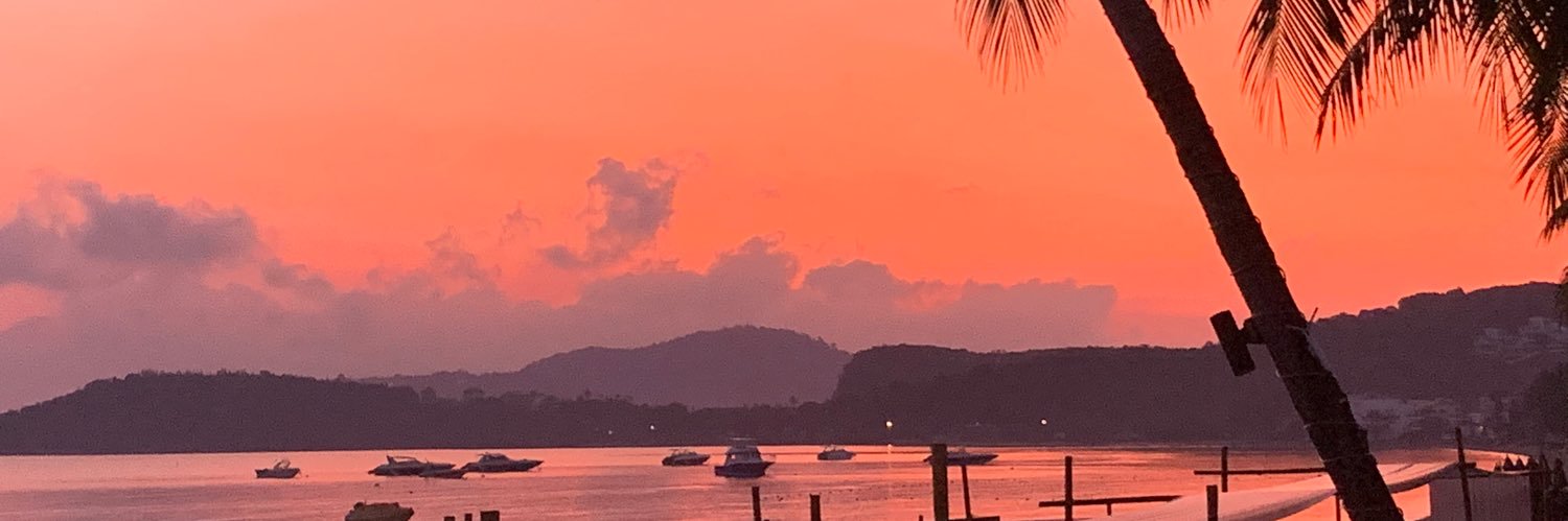 Queen_Roo's profile banner image