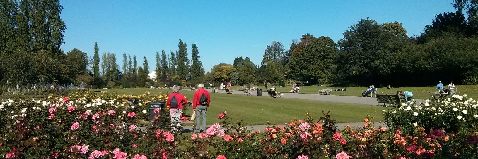 Kenny 🎗️ banner