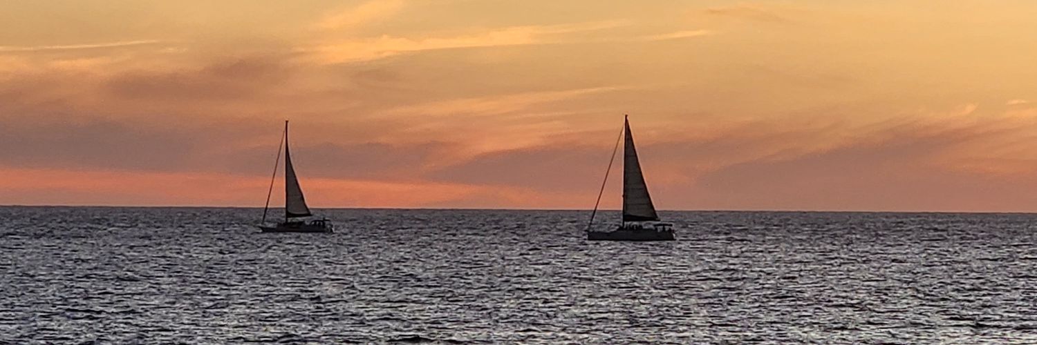 Conservative Outpost banner