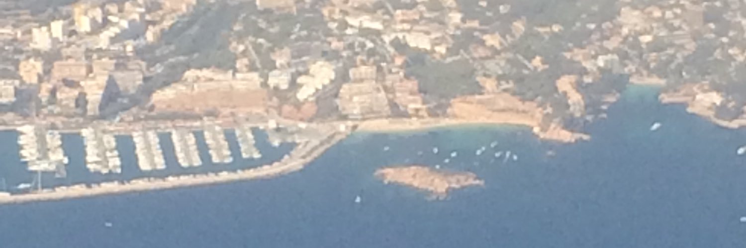 Angela Raftery CIHCM banner