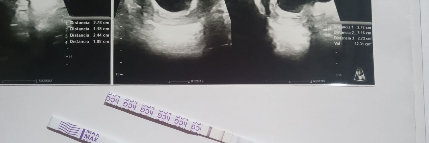 trinnidad17's profile banner image