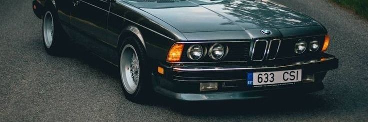 SIC PAVIS MAGNA banner