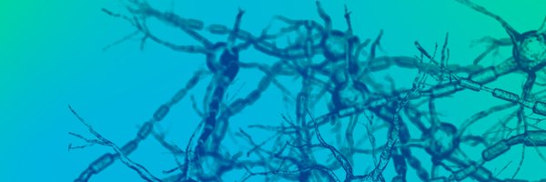 neuroshef Profile Banner