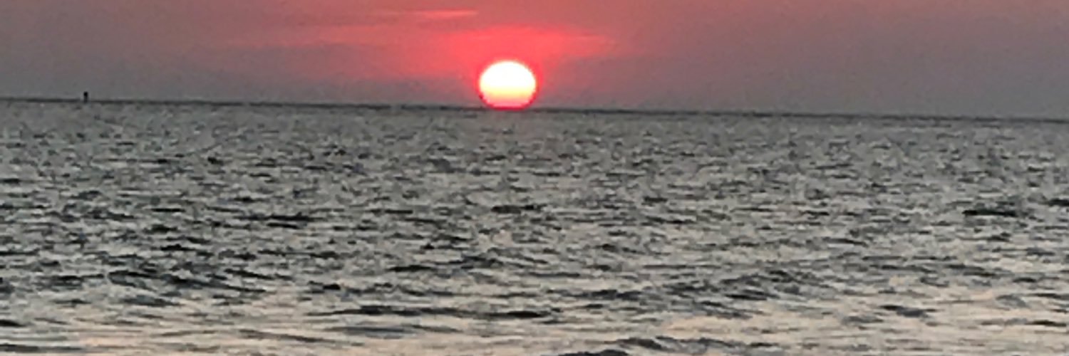 nanimal43's profile banner image