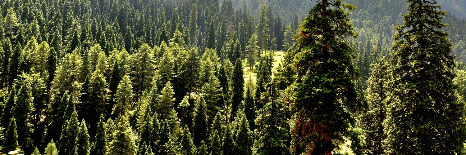 DFO Planning and Publicity banner