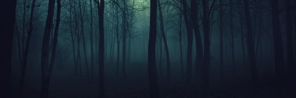 RealYaga Profile Banner