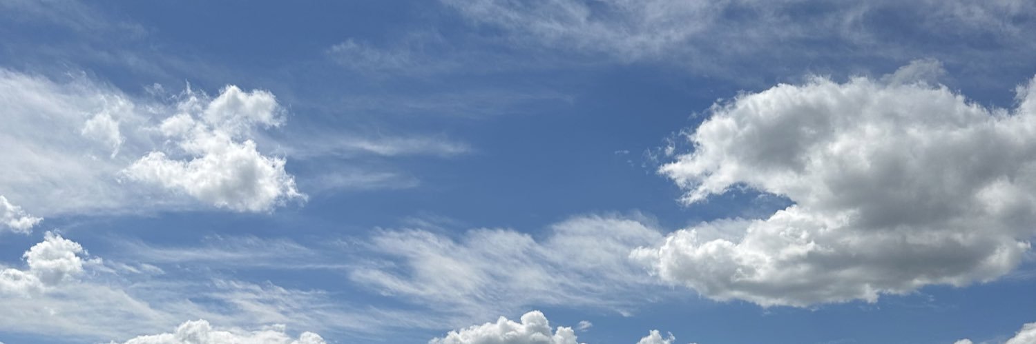 Hilary Fought banner